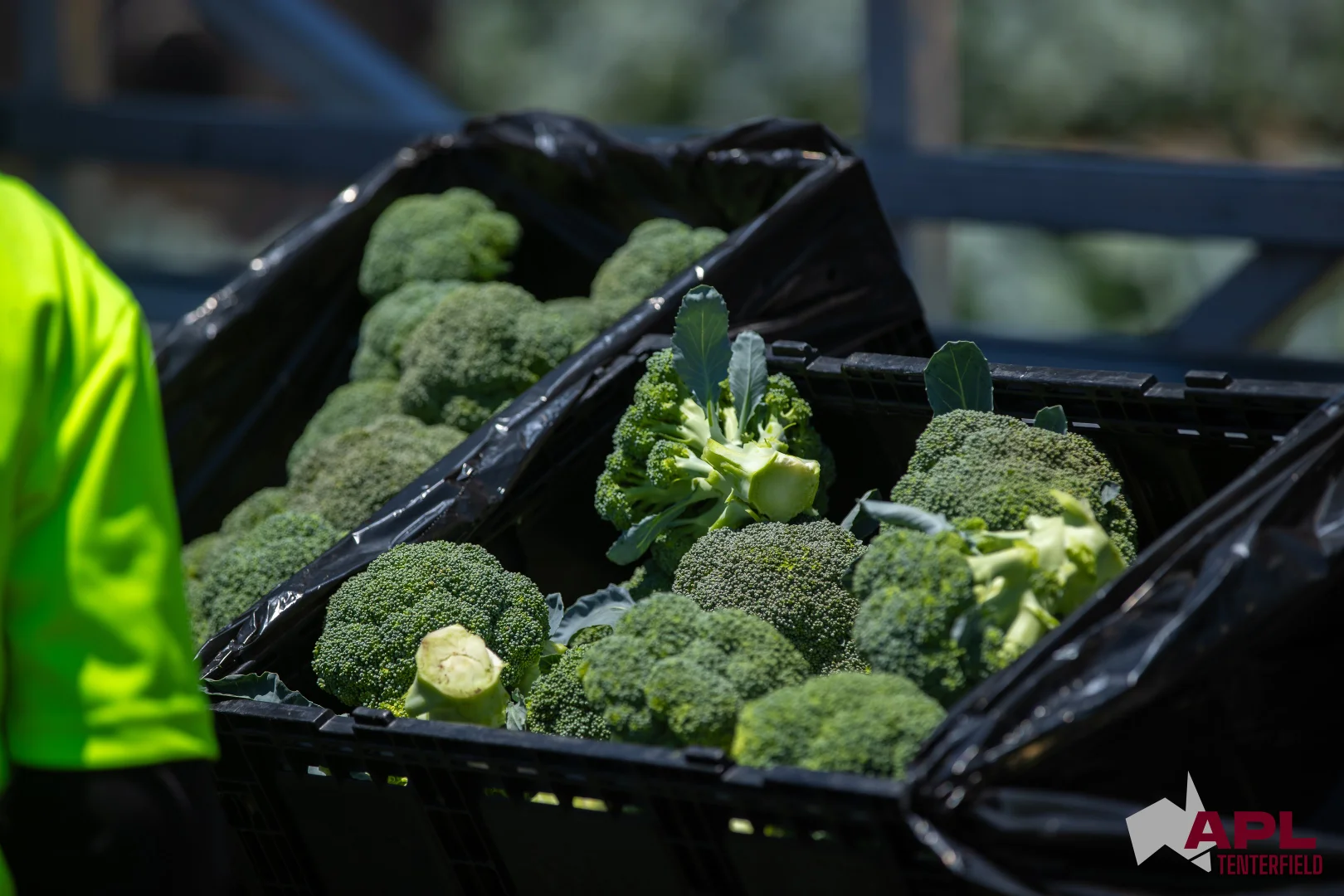 Additional image 27 of 1696 and 1799 New England Highway, Tenterfield NSW 2372