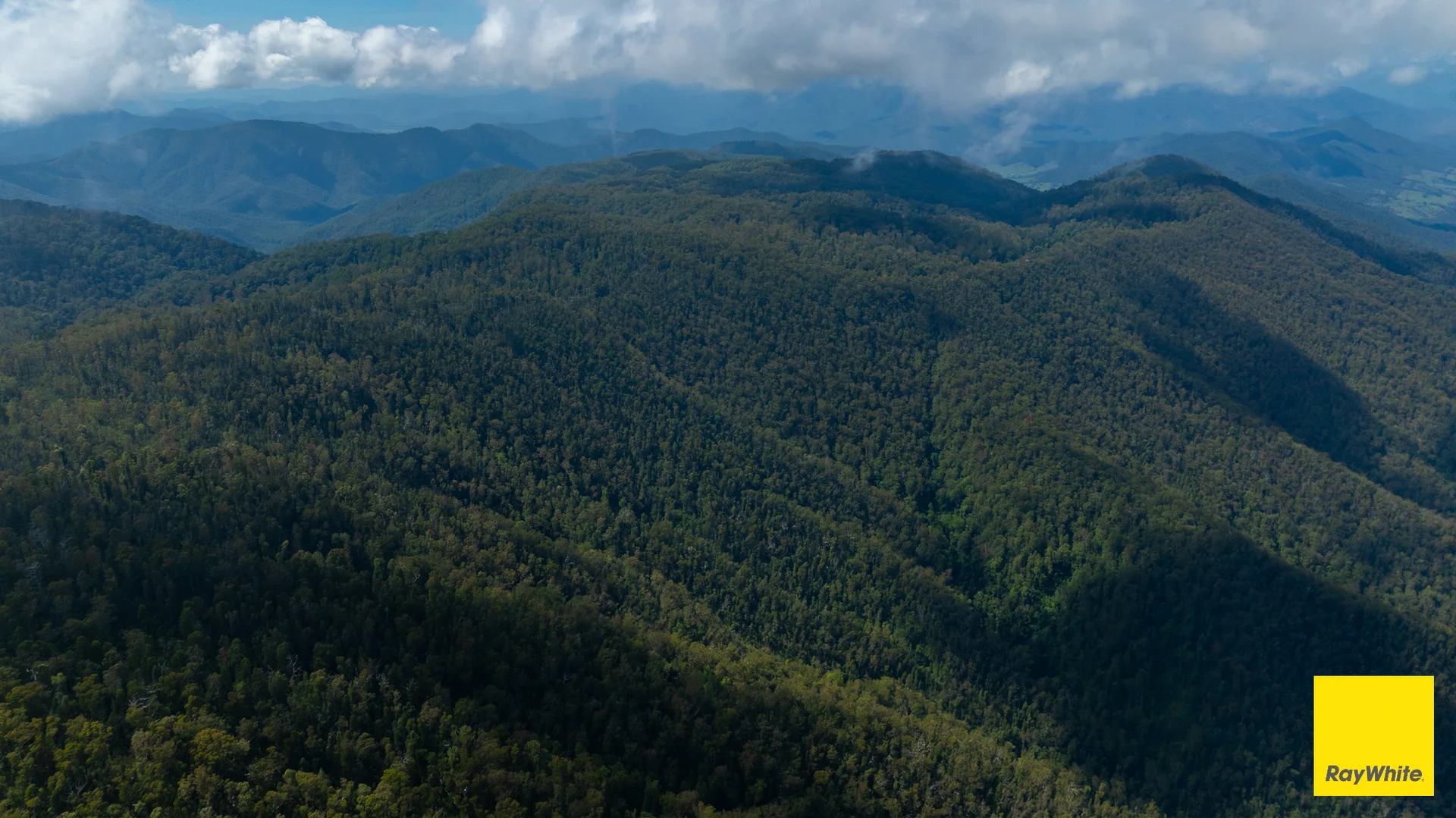 Additional image 10 of Lower Creek NSW 2440