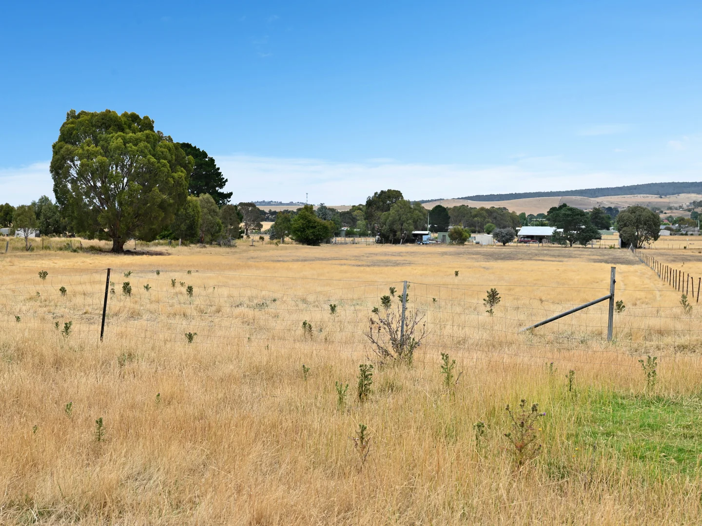 Additional image 20 of 62 Patrick Street, Bothwell TAS 7030