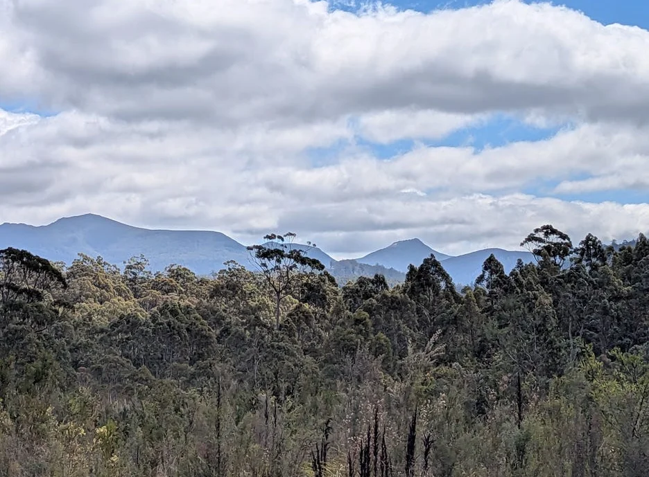 Additional image 4 of Strathblane TAS 7109