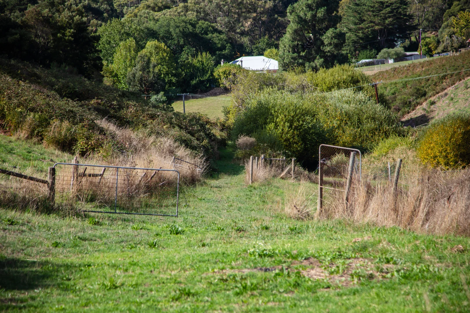 Additional image 23 of 290 Woods Hill Road, Ashton SA 5137