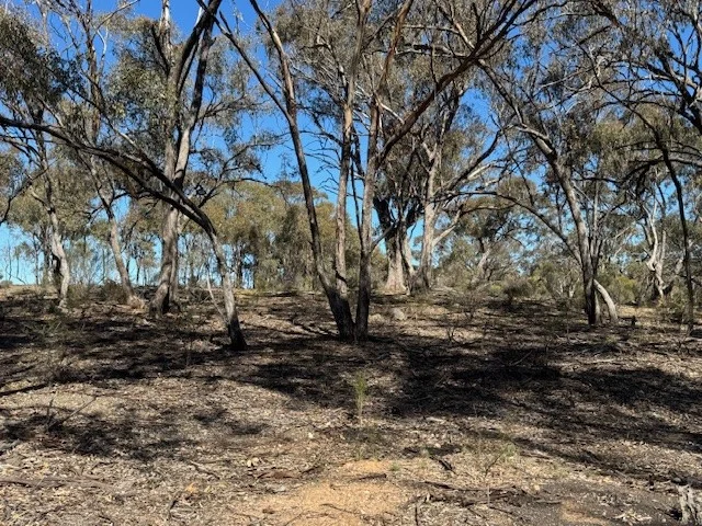Additional image 10 of 4CA Calder Highway, Wedderburn VIC 3518