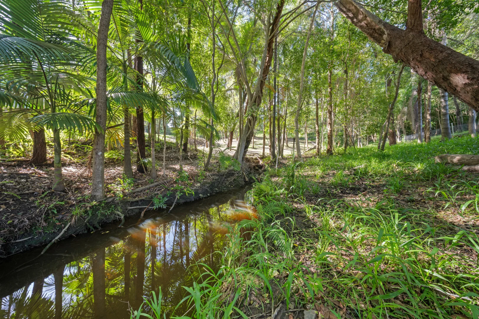 Additional image 16 of 15 Alice Bowden Court, Worongary QLD 4213