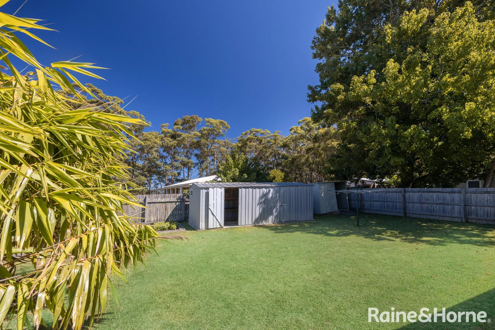 Additional image 15 of 56 Wyoming Ave, Burrill Lake NSW 2539