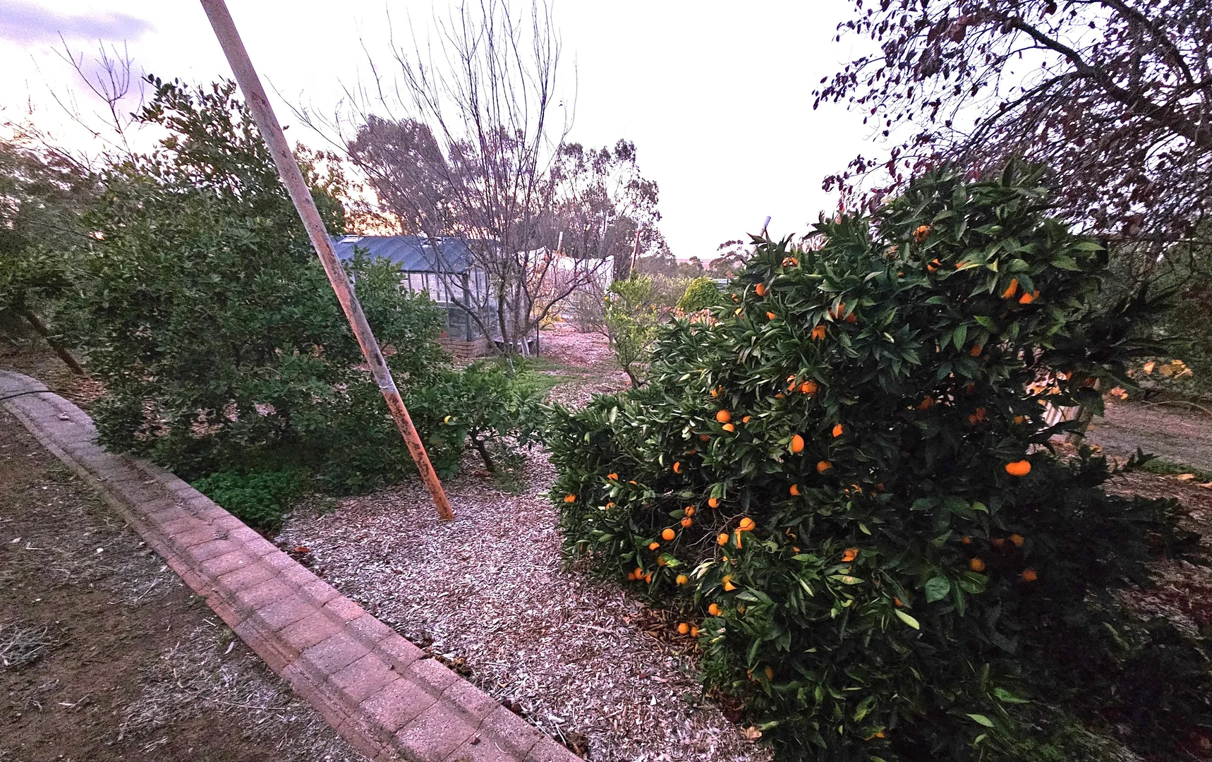 Additional image 25 of 93 Balmoral Road, Kalbeeba SA 5118