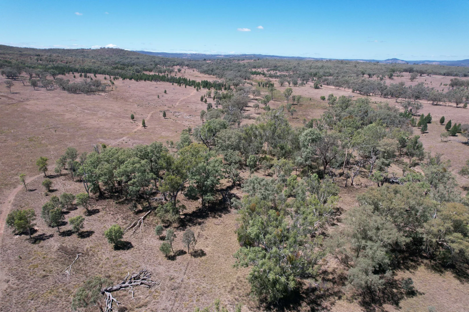 Additional image 12 of 247 Uandi Road, Inglewood QLD 4387