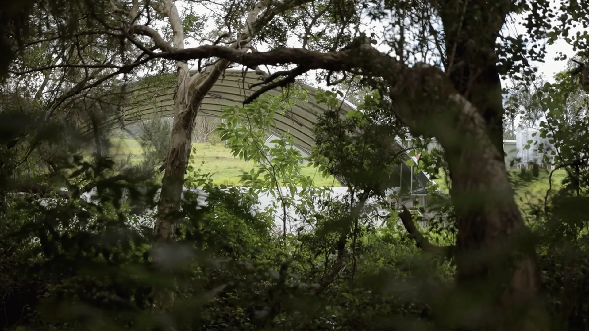 Additional image 7 of 2956 Carnham Road, Coombadjha NSW 2460