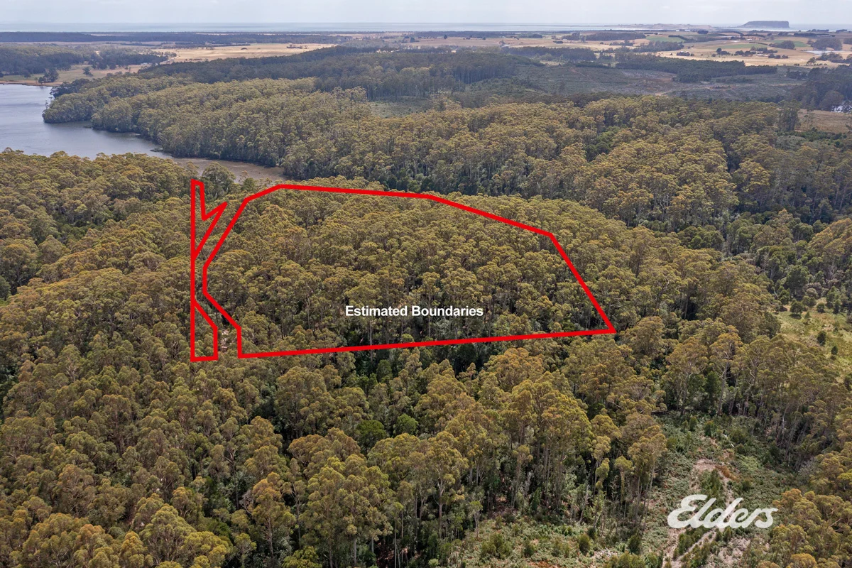 Additional image 4 of Faheys Lane, Irishtown TAS 7330