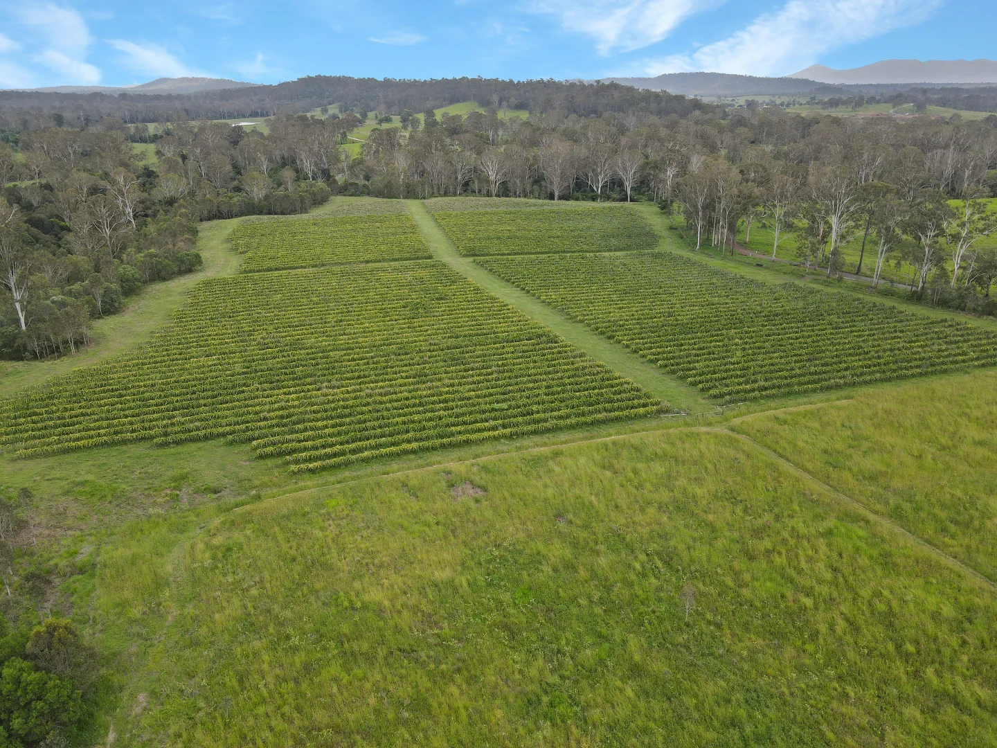 Additional image 7 of 126/288 Blowers Road, Munna Creek QLD 4570