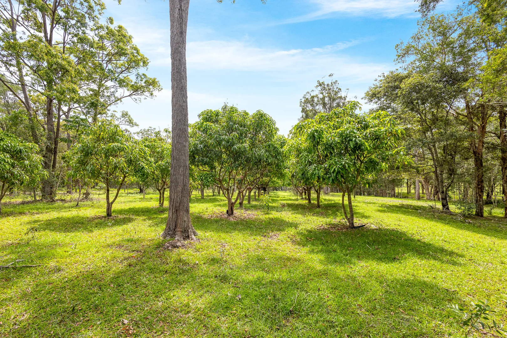 Additional image 27 of 197 Stephan Road, Goomboorian QLD 4570