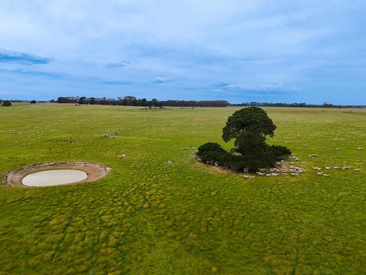 Additional image 17 of Huf's Back Lane, Warrayure VIC 3301