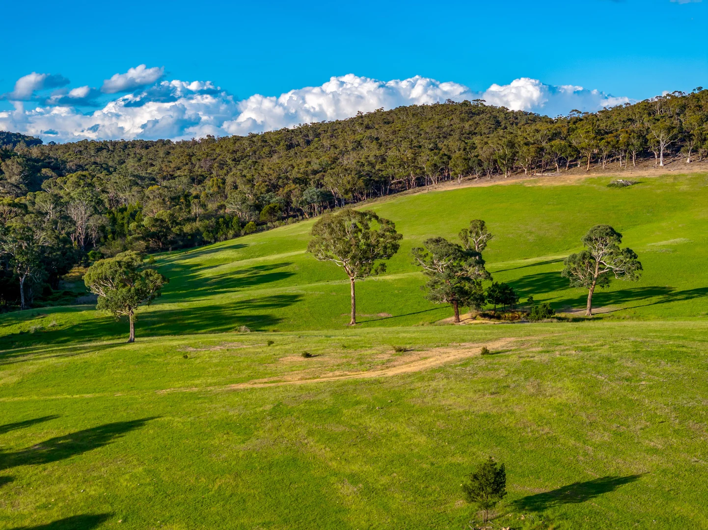 Additional image 9 of 1452 Crookwell Road, Goulburn NSW 2580