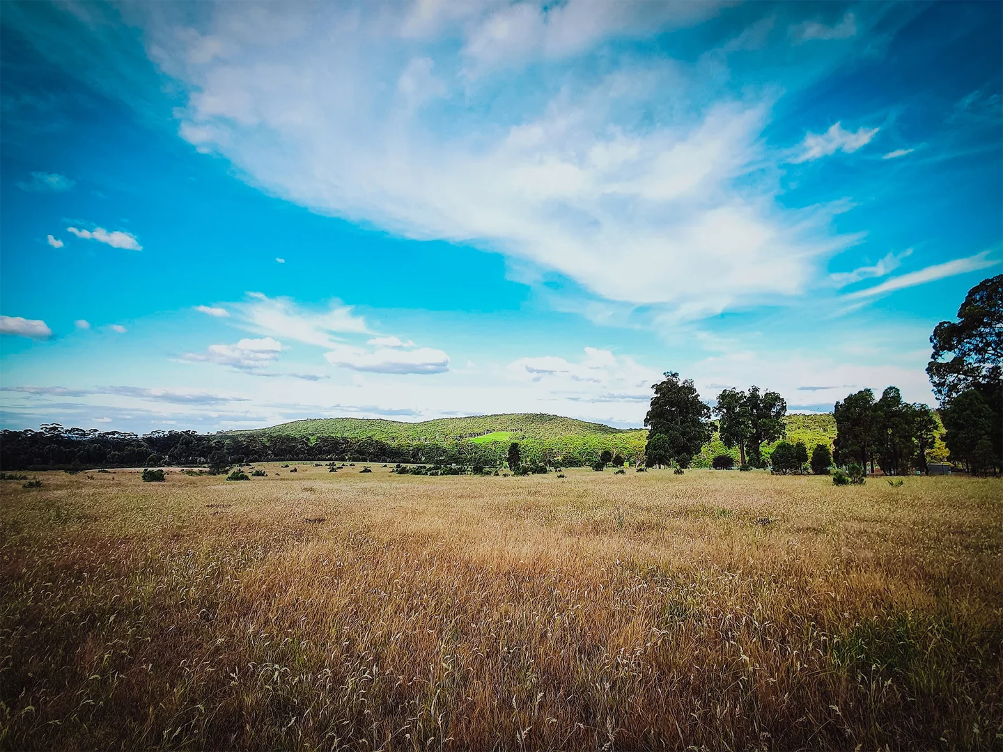 Additional image 14 of 58 Drummonds Lane, Heathcote VIC 3523