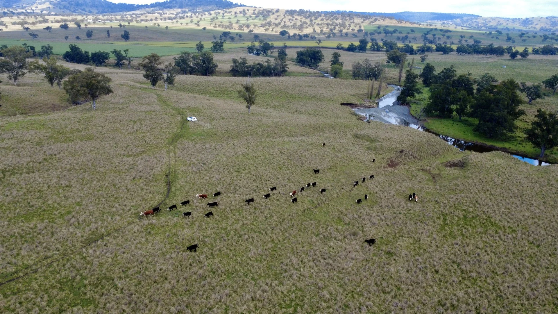 955 "Wirringulla" Coulsons Creek Road, Merriwa NSW 2329