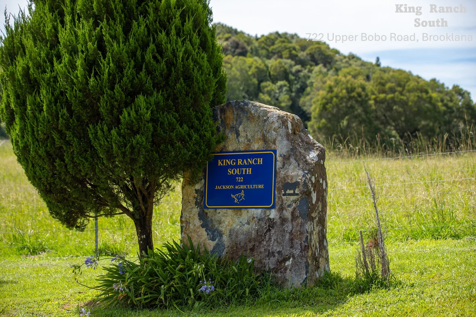 Additional image 27 of "King Ranch" 481 Upper Bobo Road, Dorrigo NSW 2453