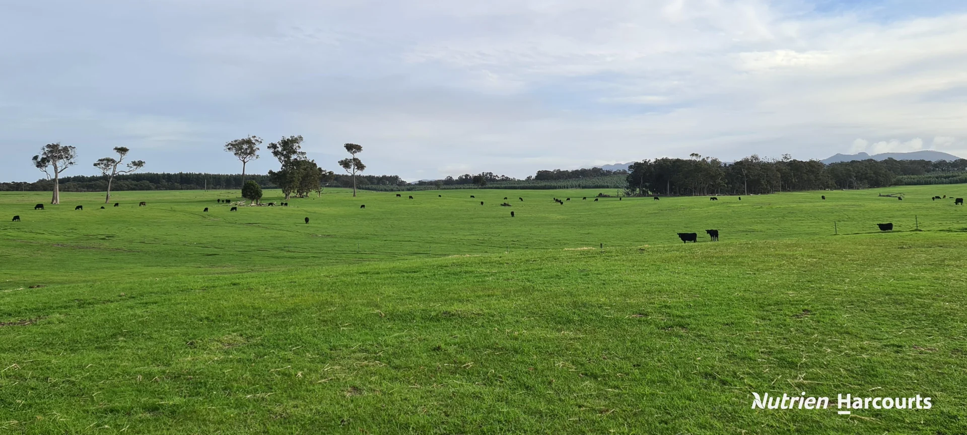 Additional image 24 of 2003 Settlement Road, Napier WA 6330