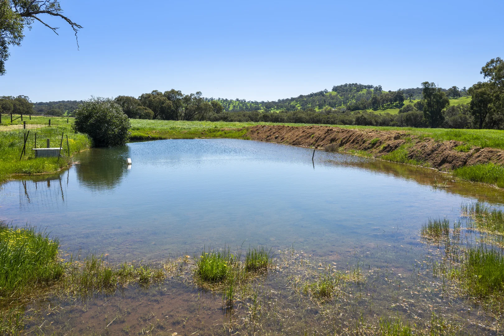 Additional image 7 of 54 Chittering Valley Road, Lower Chittering WA 6084