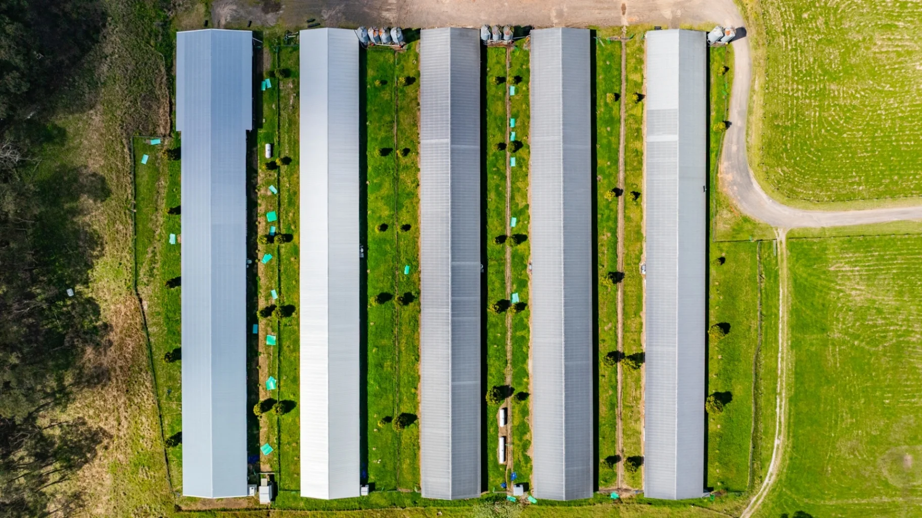 Additional image 9 of 180 Williams Road, Kulnura NSW 2250