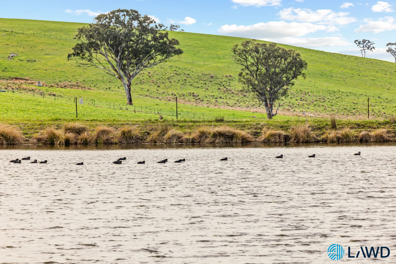 Additional image 6 of 14 Euralie Road, Yass NSW 2582