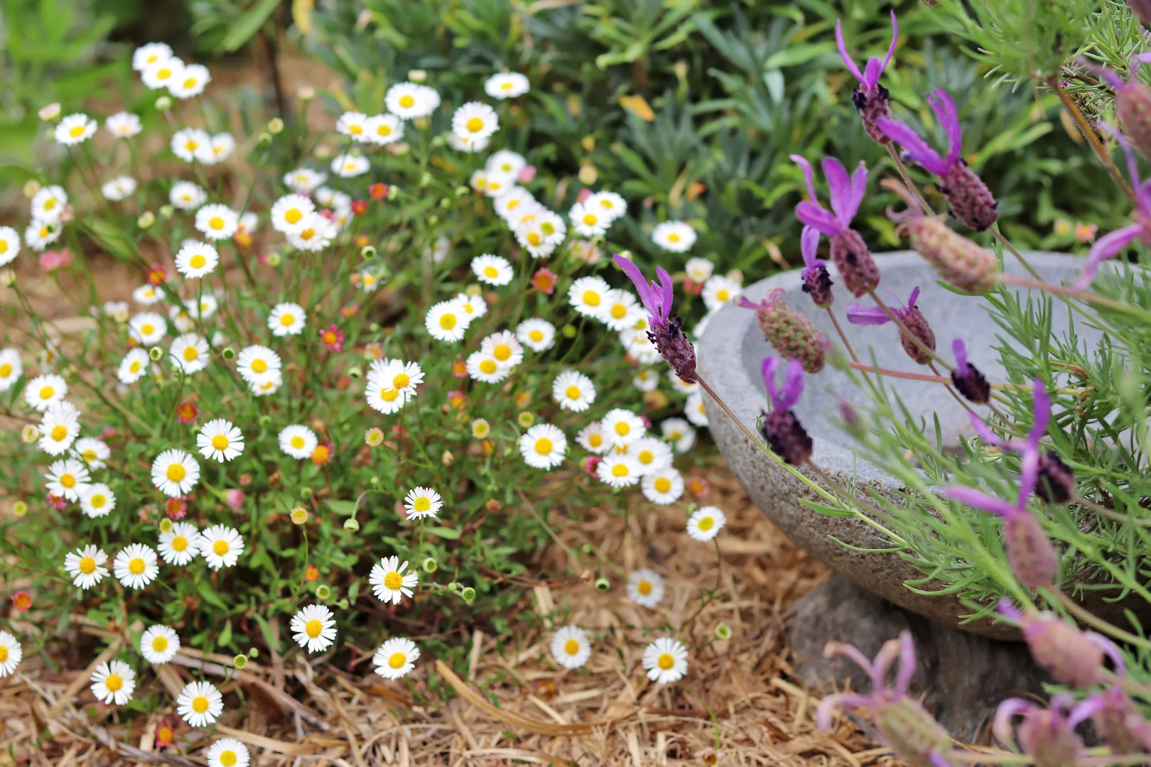 Additional image 31 of 15 Lee Street, Rossarden TAS 7213