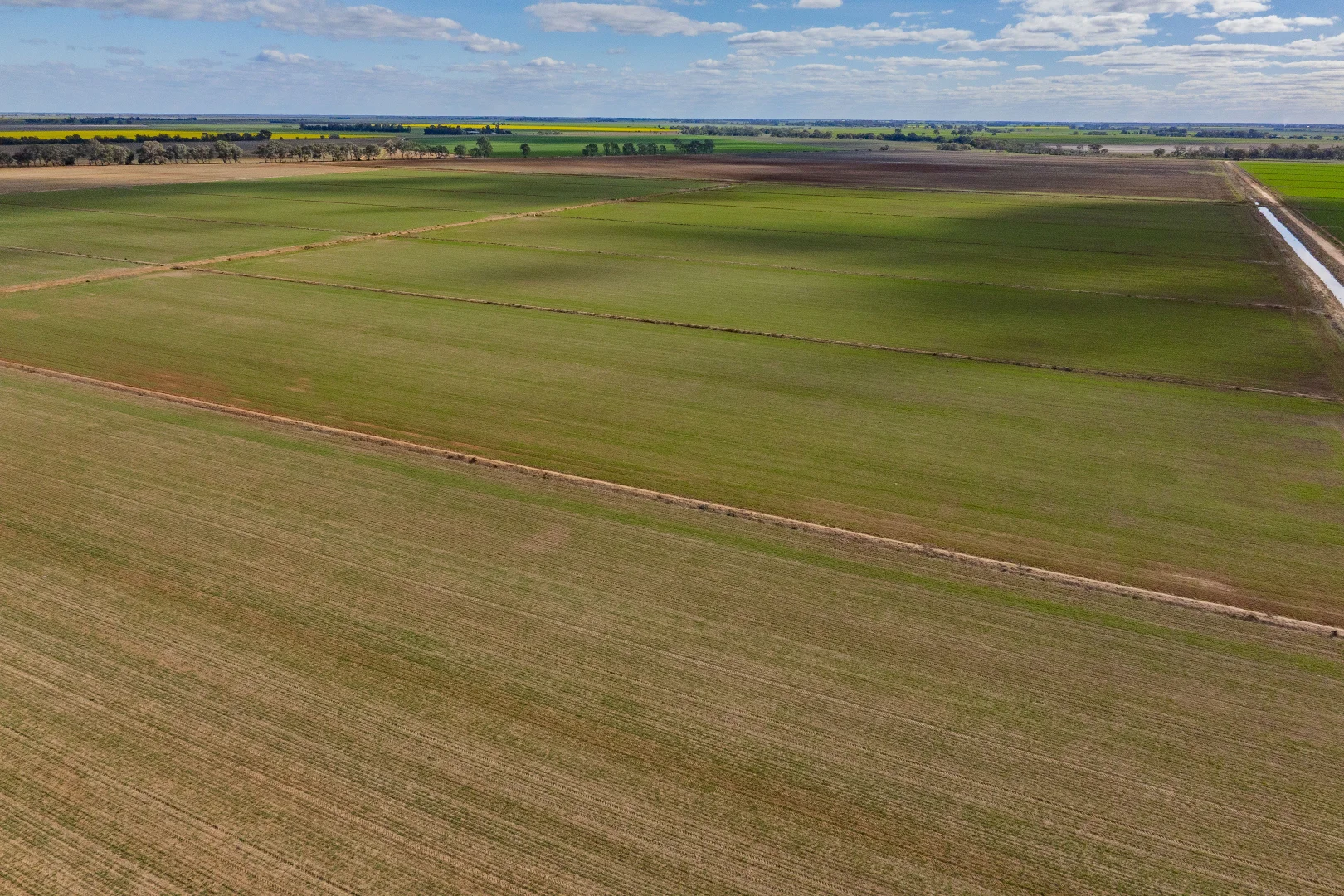 Additional image 16 of Glenn Road, Coleambally NSW 2707