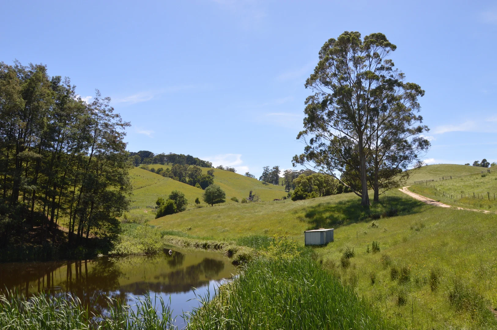 Additional image 13 of 10 Rowes Road, Mount Eccles VIC 3953