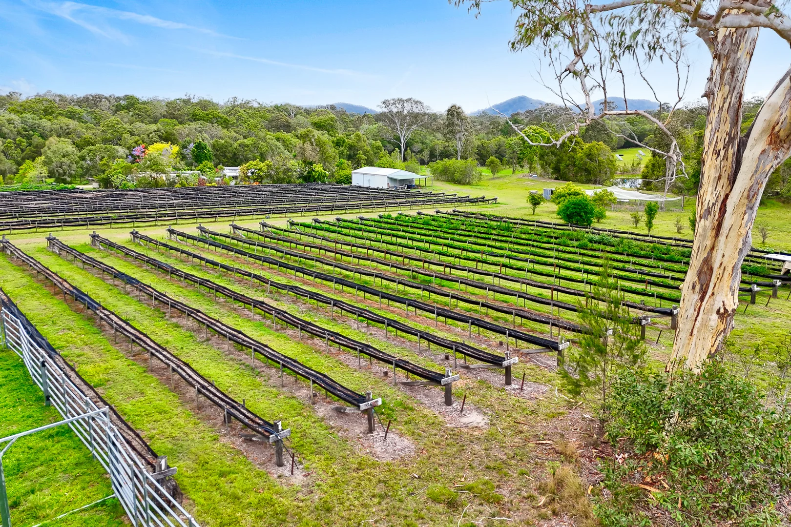 Additional image 29 of 197 Stephan Road, Goomboorian QLD 4570