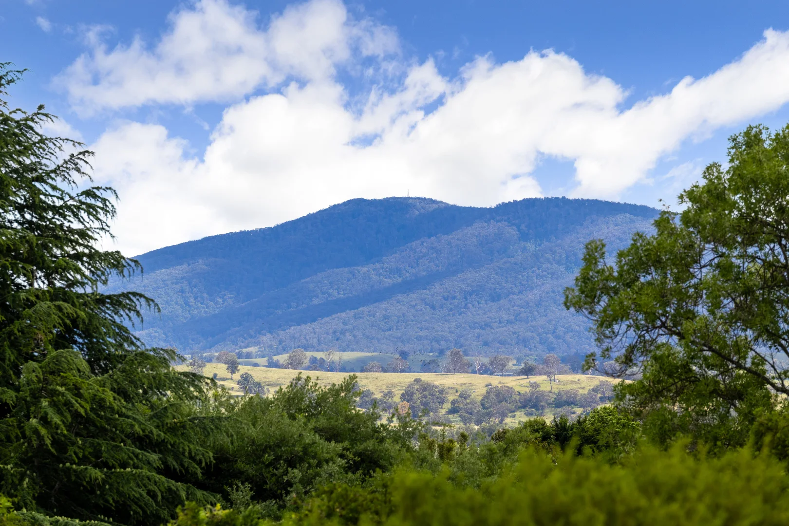 Additional image 23 of 214 Auckland Street, Bega NSW 2550