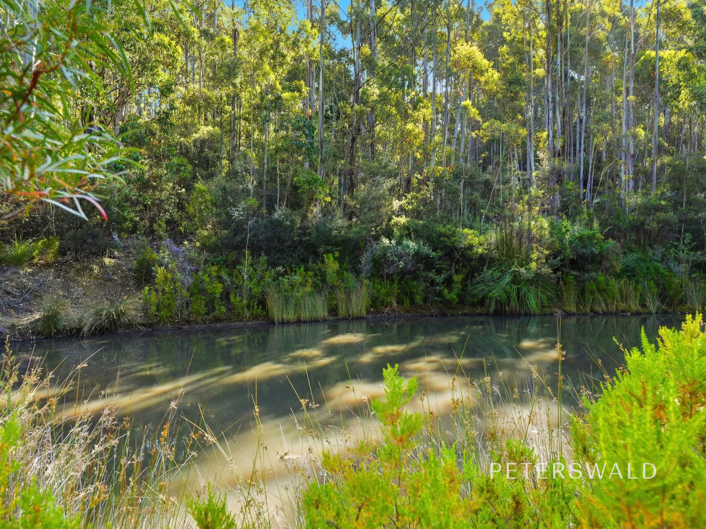Additional image 5 of 3 Morphetts Road, Neika TAS 7054