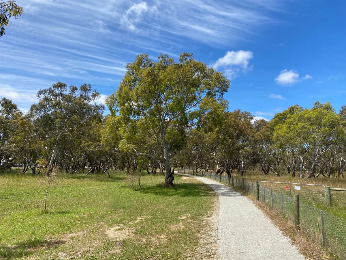 Additional image 7 of 2/53 Main Street, Winchelsea VIC 3241