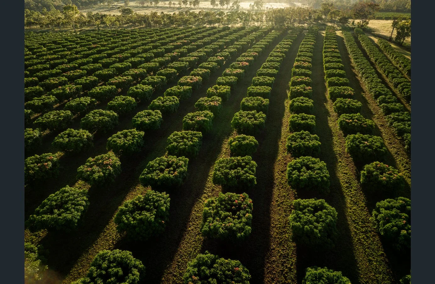 Additional image 9 of 85 Schincariol Road, Dimbulah QLD 4872