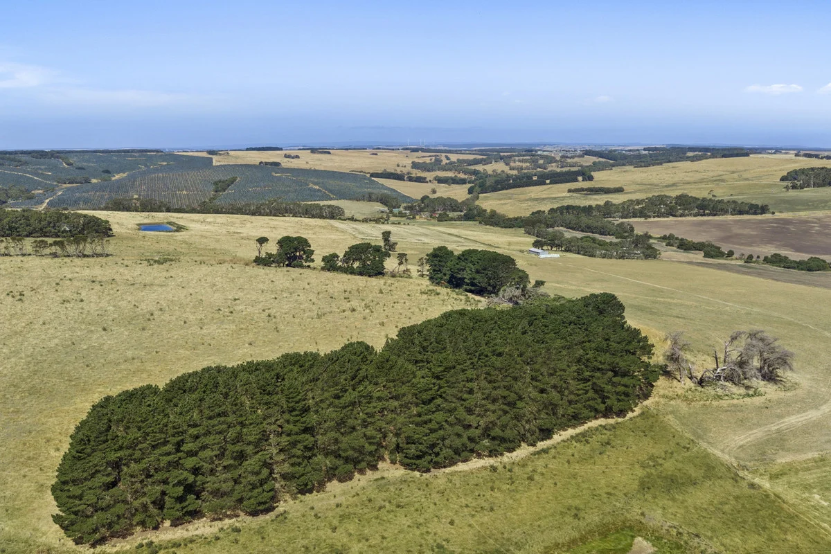 Additional image 18 of 1940 Cobden-Port Campbell Road, Newfield VIC 3268