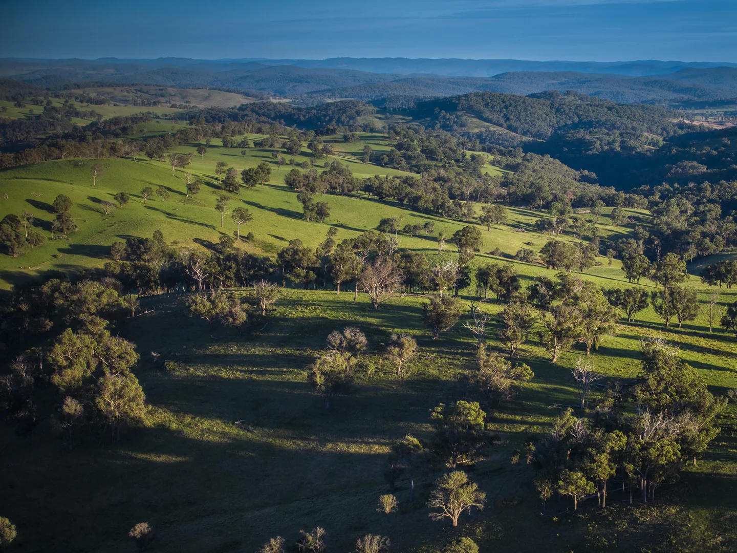 Additional image 6 of 338 Fishington Road, Wongwibinda NSW 2350