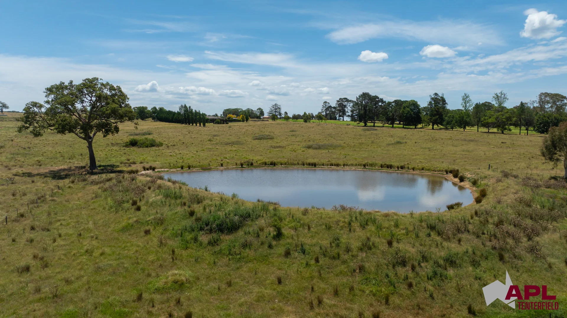 Additional image 7 of 210 Pelham Street, Tenterfield NSW 2372