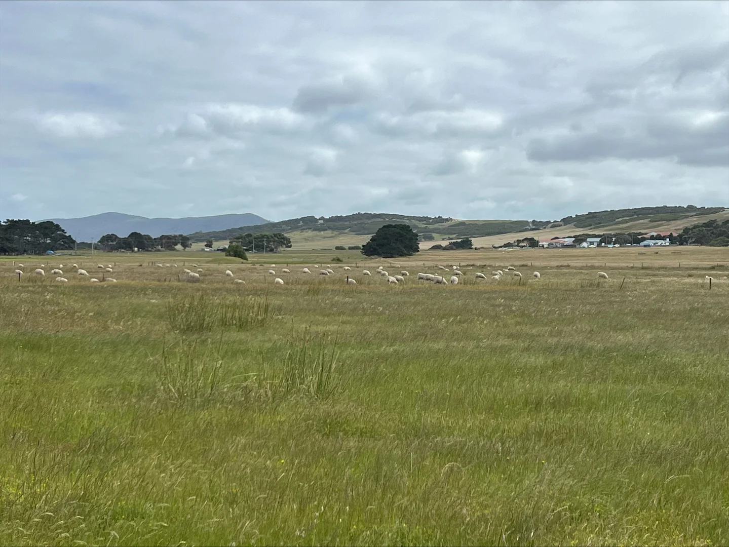 Additional image 23 of Lot 1, 22 Baileys Lane, Whitemark TAS 7255