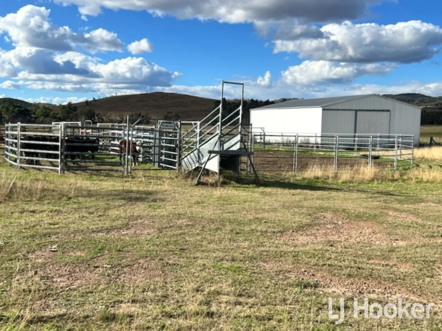 Additional image 5 of 557 Pindari Dam Road, Inverell NSW 2360