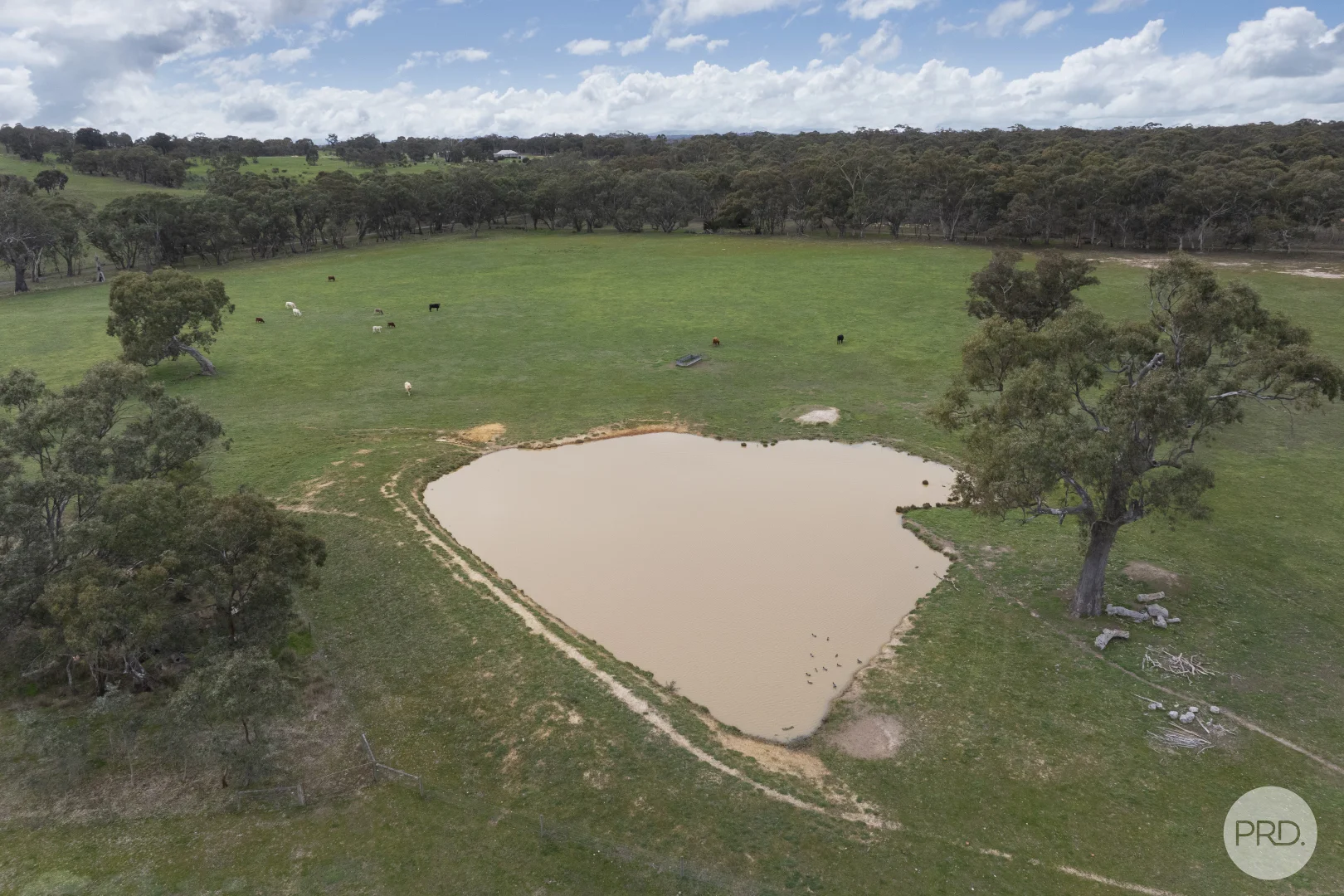 Additional image 4 of 203 Browns Road, Burnbank VIC 3371