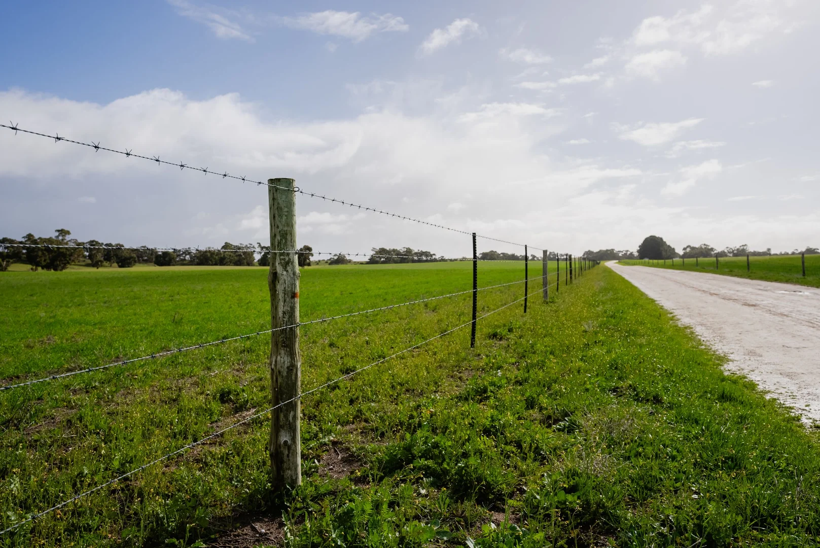 Additional image 7 of 394 Coombe Road, Tintinara SA 5266