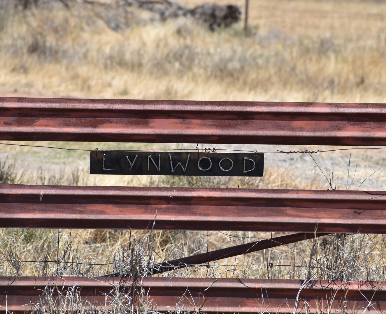 Additional image 13 of 94 Gullifers Road, Forbes NSW 2871