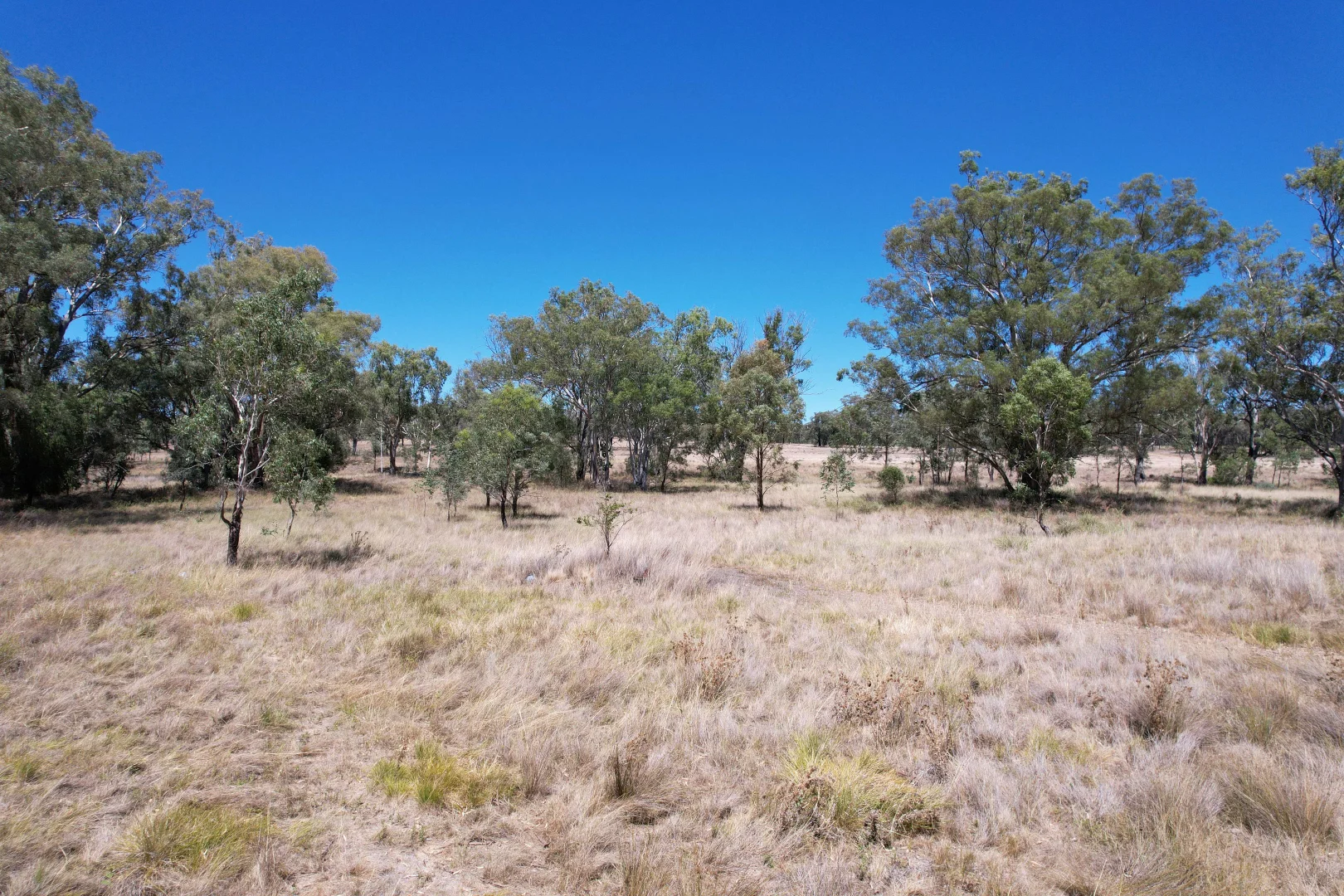 Additional image 22 of 247 Uandi Road, Inglewood QLD 4387