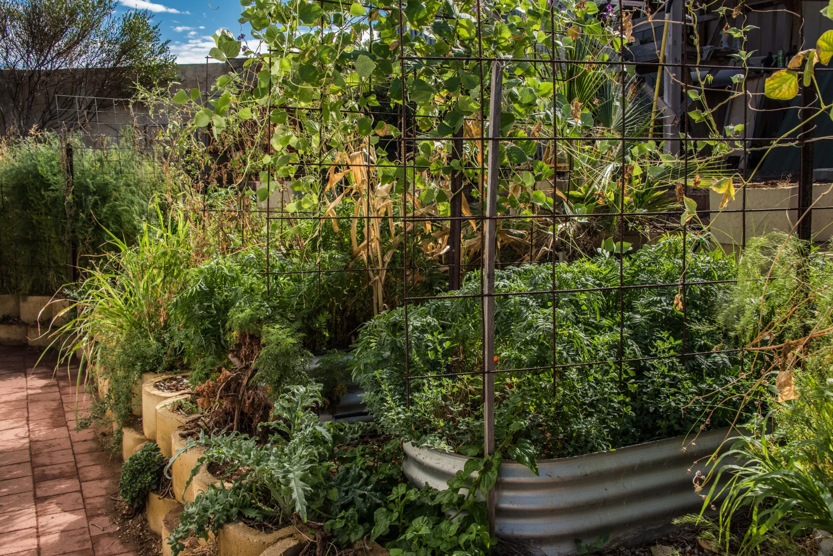 Additional image 15 of 18 Mitchell Street, Horrocks WA 6535