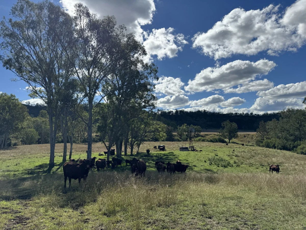 Additional image 9 of 186 Mungungo Creek Road, Monto QLD 4630