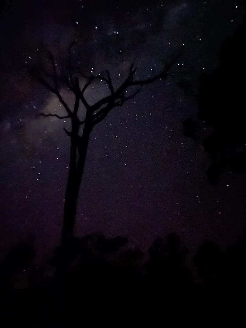 Additional image 25 of 274 Willow Glen Road, Lower Boro NSW 2580