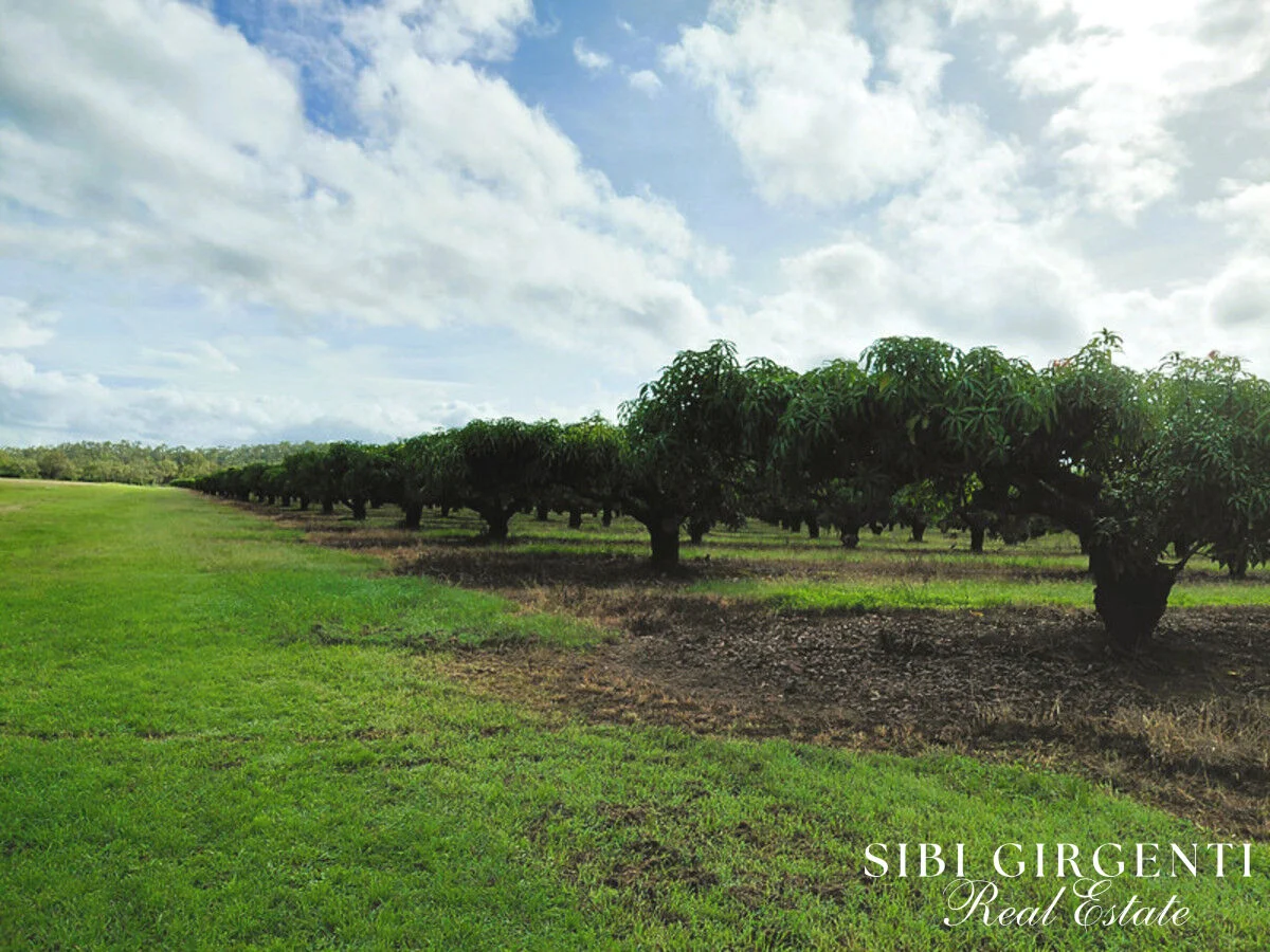 Additional image 10 of 263/71 Gilmore Road, Mareeba QLD 4880