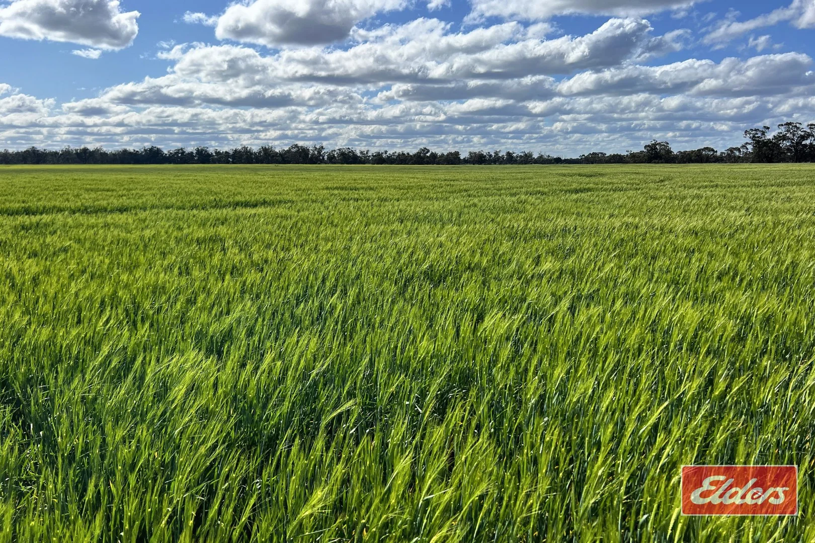 Additional image 2 of Perricoota, Bunnaloo NSW 2731