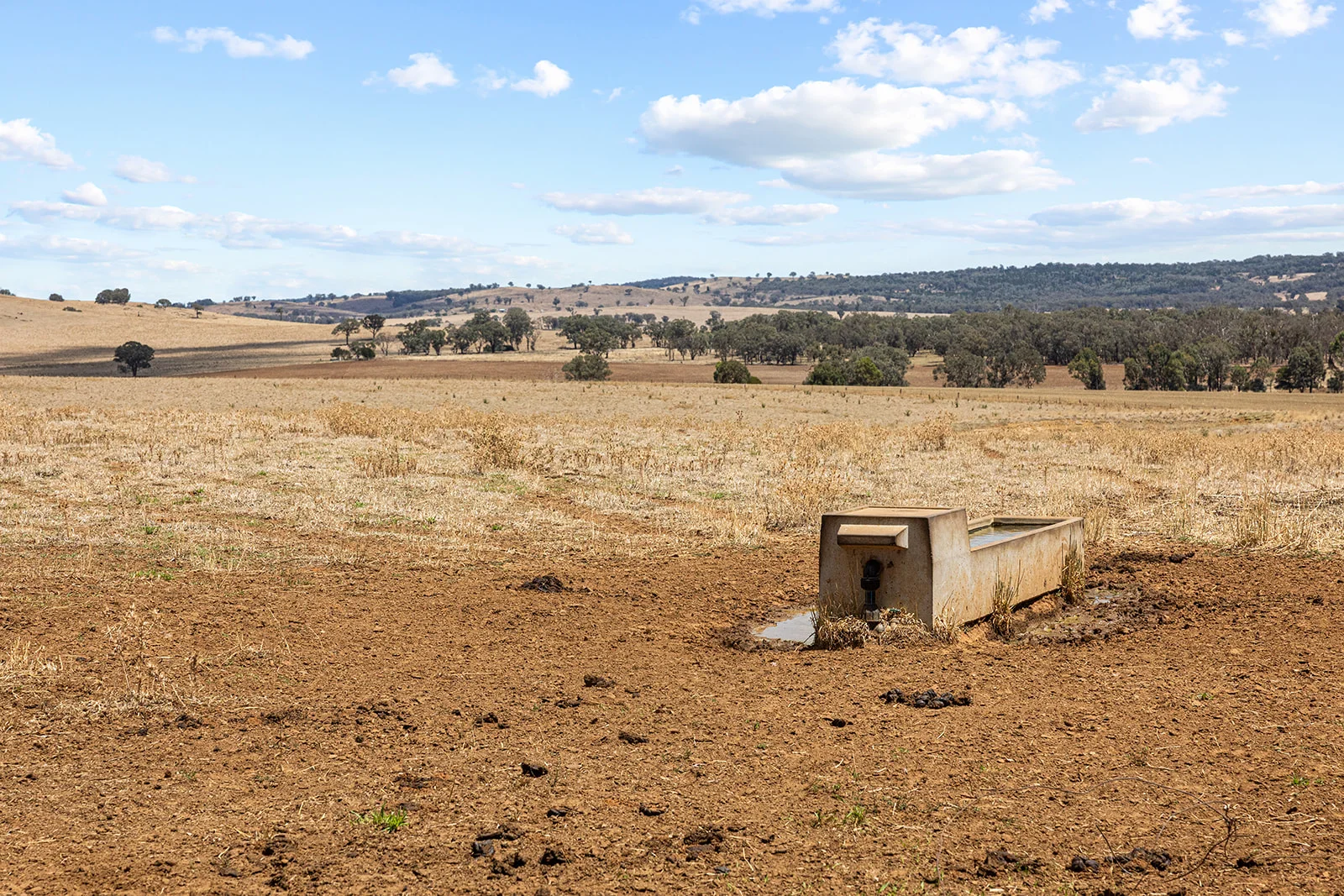 Additional image 8 of 3818 Lachlan Valley Way, Godfreys Creek NSW 2586