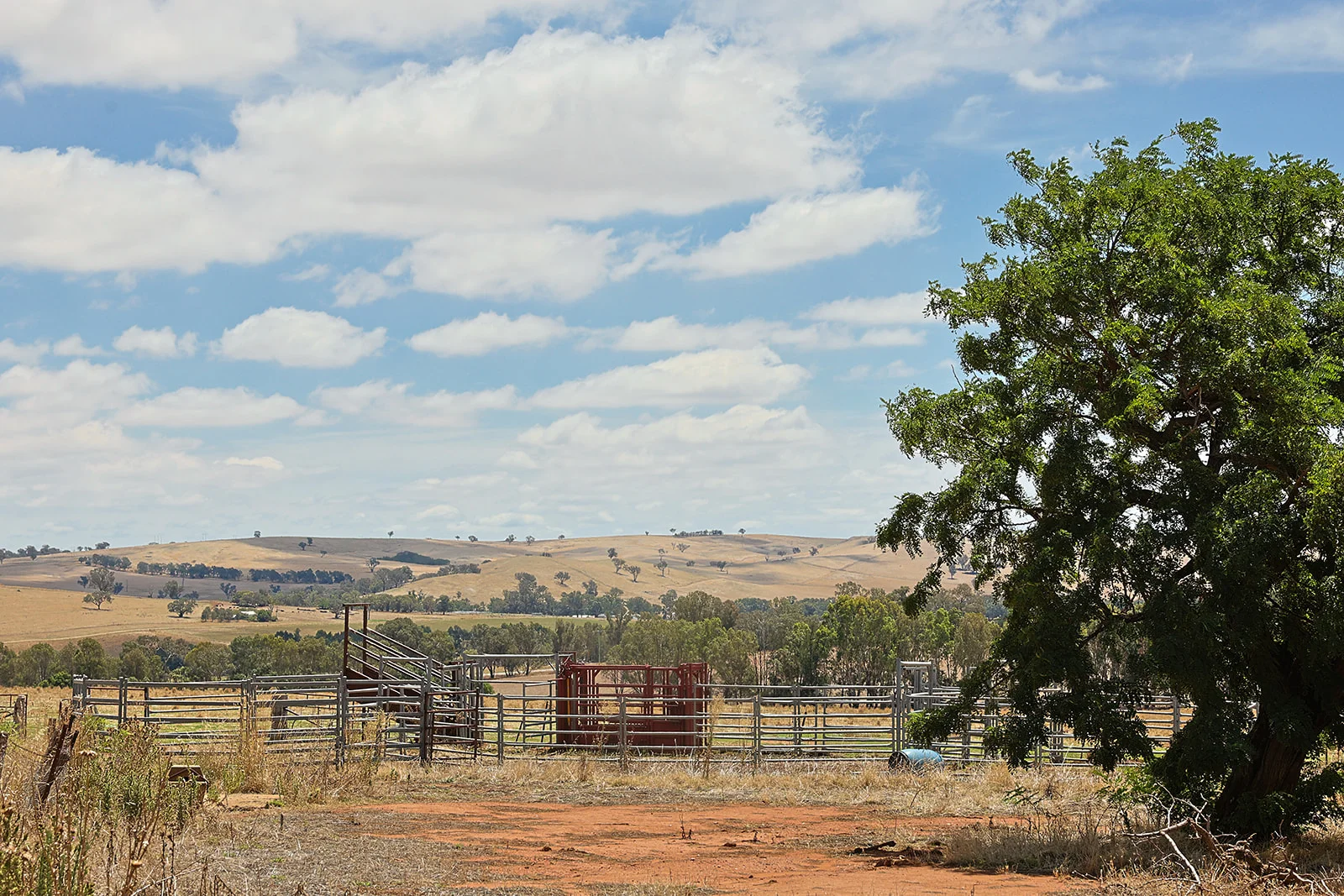 Additional image 9 of 3818 Lachlan Valley Way, Godfreys Creek NSW 2586