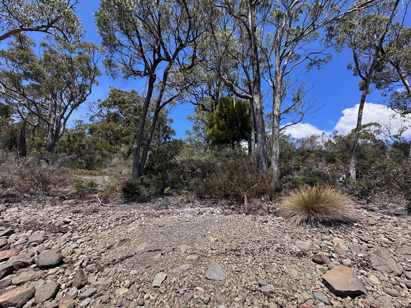 Additional image 47 of 1, 1, 2 Sympathy Point Road, Taranna TAS 7180