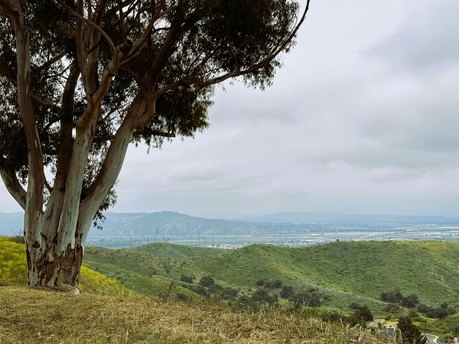 Additional image 38 of 1184 Colina Vis, Ventura, CA, 93003