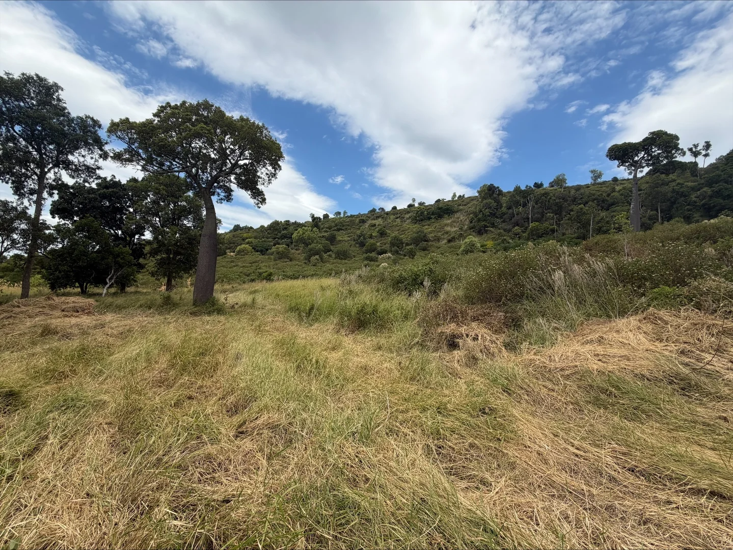 Additional image 7 of Lot 62 Berlin Rd, Mount Berryman QLD 4341